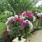 Bedham Hall B&B