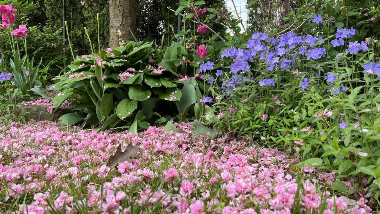 Bed & Breakfast Bedham Hall