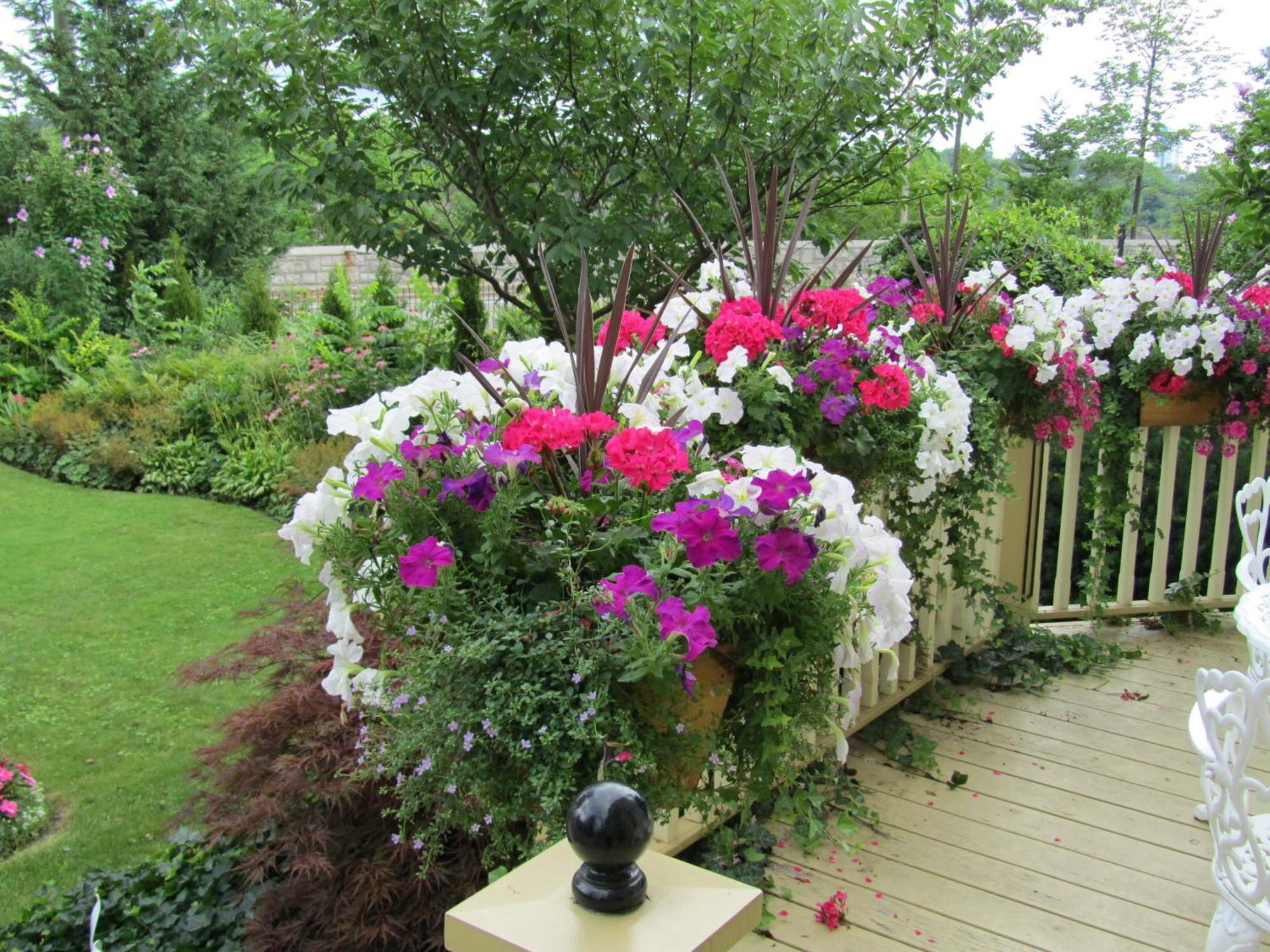 Bed & Breakfast Bedham Hall